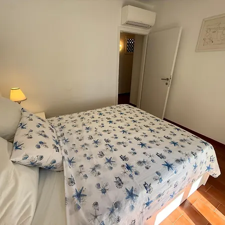 Star - Tesi Viaggi *