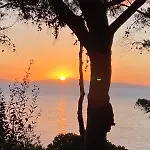 Vila Star - Tesi Viaggi *