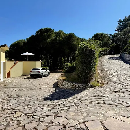 Star - Tesi Viaggi *