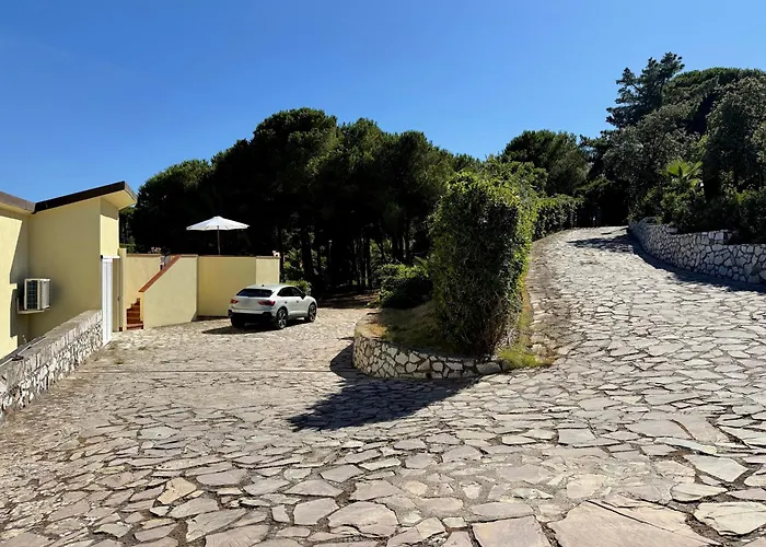 Star - Tesi Viaggi *